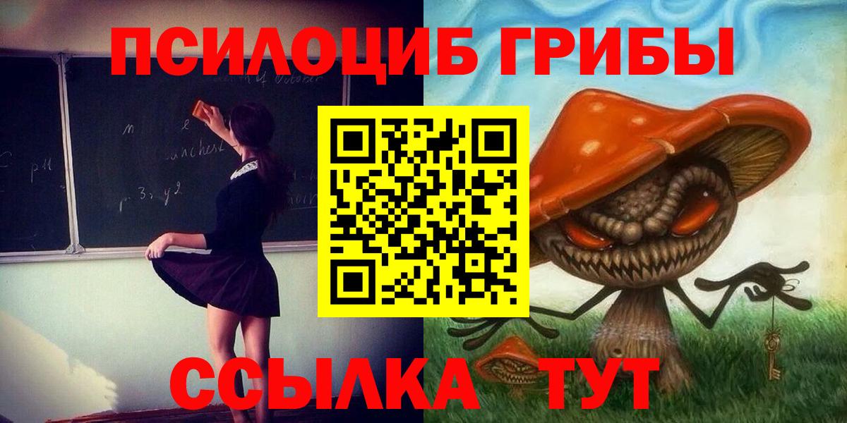 Южноуральск  Галлюциногенные грибы Psilocybe  Вход с VPN 
